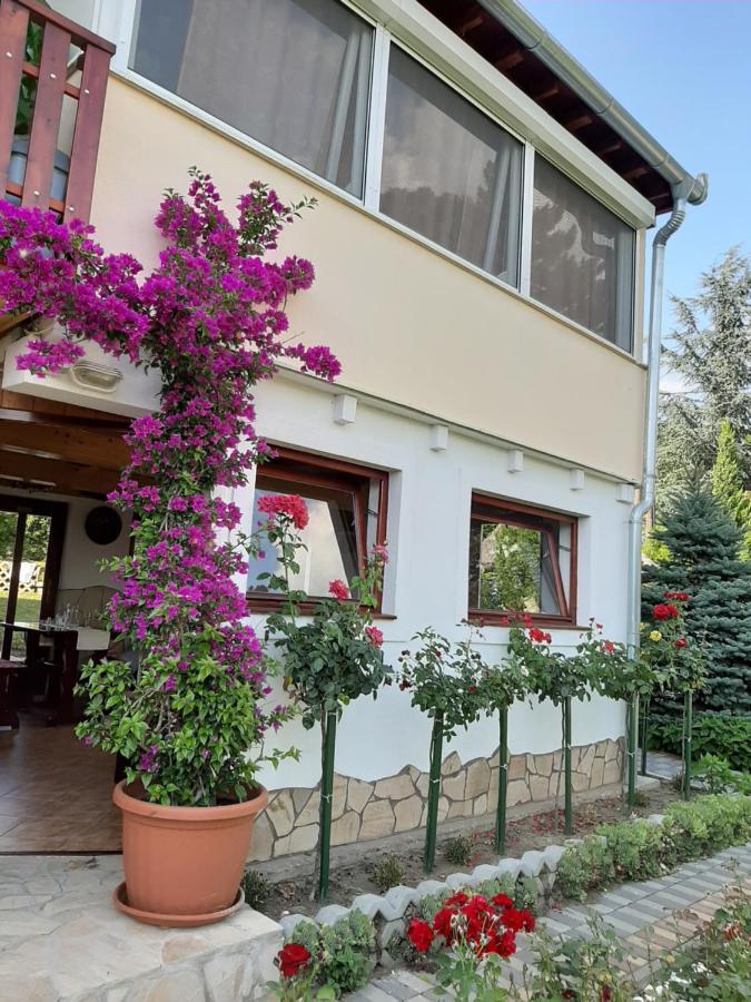 Bed and Breakfast Rozsakert Vendeghaz Szigliget Exterior foto